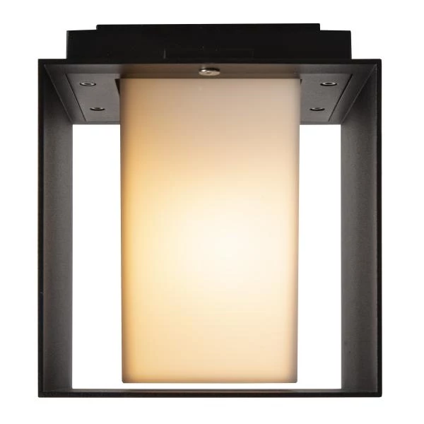 Lucide EXETER - Wandlamp Buiten - 1xE27 - IP54 - Zwart - detail 2